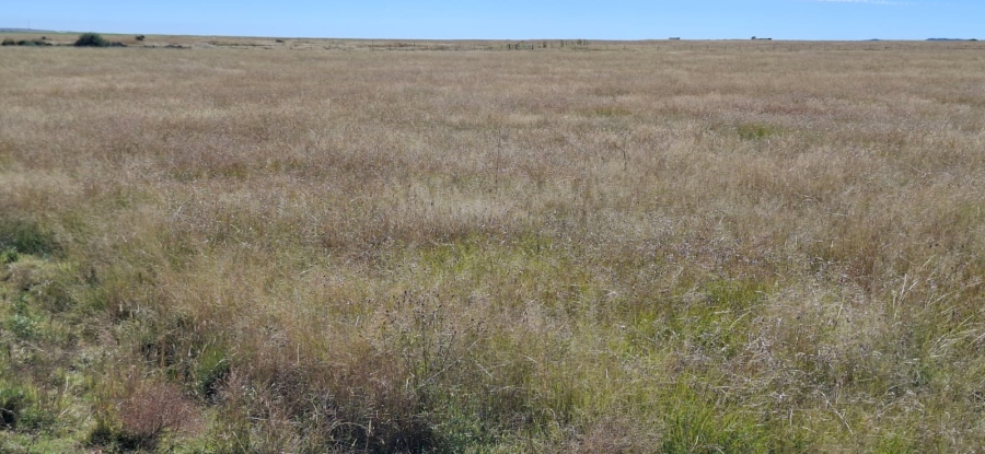 Commercial Property for Sale in Bloemfontein Rural Free State